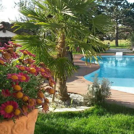 Le Clos De Saint Amour Монтобан Екстериор снимка