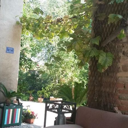 Le Clos De Saint Amour Монтобан Екстериор снимка